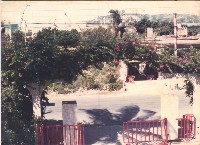 鳳鳴國小大門口花圃景致藏品圖，第1張