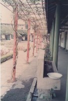 鳳鳴國小花圃架藏品圖，第1張