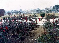 玫瑰花園-1藏品圖，第1張