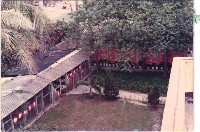 動植物觀察園-1藏品圖，第1張