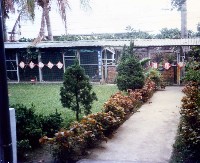 動植物觀察園-2藏品圖，第1張