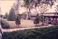 動植物觀察園-3藏品圖，第1張