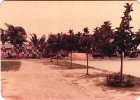 遊戲場-2藏品圖，第1張