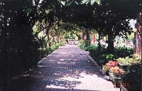 2003年校園景觀-1藏品圖，第1張