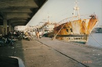 首都號漁船藏品圖，第1張