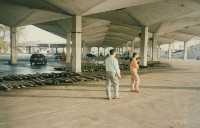 魚市場與新吉興號-2藏品圖，第1張