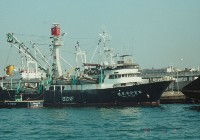 百富壹零參號-船頭藏品圖，第1張