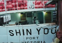 SHIN YOU 輪藏品圖，第1張