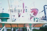 漁業署遠洋漁業開發中心船隻-2藏品圖，第1張