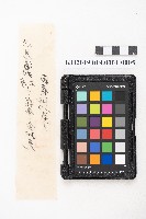 大正五年壹月設立 稇源支店 磅空股頭總抄簿藏品圖，第10張