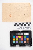 大正五年壹月設立 稇源支店 磅空股頭總抄簿藏品圖，第33張