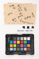 大正叁年稇源支店各社通士抄集藏品圖，第3張