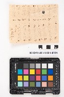 大正叁年稇源支店各社通士抄集藏品圖，第15張