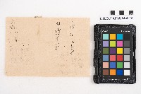 大正叁年稇源支店各社通士抄集藏品圖，第19張