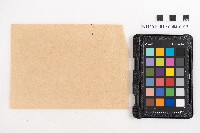 大正叁年稇源支店各社通士抄集藏品圖，第24張