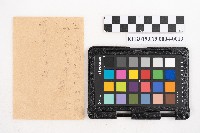 大正叁年稇源支店各社通士抄集藏品圖，第25張