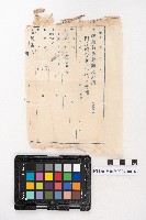 大正叁年稇源支店各社通士抄集藏品圖，第31張