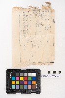 大正叁年稇源支店各社通士抄集藏品圖，第32張