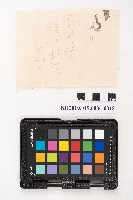 大正叁年稇源支店各社通士抄集藏品圖，第35張