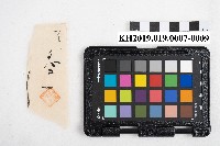 大正五年 御通 稇源支店小浮總藏品圖，第17張