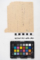 大正七年九月接 金錢支出納入日記簿 稇源支店藏品圖，第17張