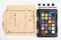 大正五年拾月起 六龜里稇源支店 現金支出簿藏品圖，第7張