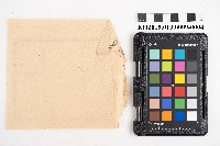 大正五年拾月起 六龜里稇源支店 現金支出簿藏品圖，第8張