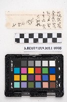 大正參年八月稇源支店第四部小抄簿藏品圖，第15張