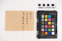 大正九年 抄帳 稇源支店藏品圖，第19張