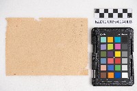 大正九年 抄帳 稇源支店藏品圖，第5張