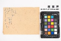 大正十年 台帳 稇源支店藏品圖，第4張