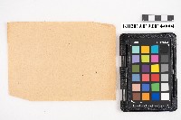 大正十年 台帳 稇源支店藏品圖，第8張