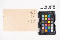 大正十年 台帳 稇源支店藏品圖，第17張