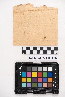 商品交易簿藏品圖，第18張