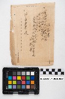 大正十五年便箋複寫簿藏品圖，第19張