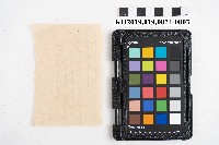 送附書複寫簿藏品圖，第5張