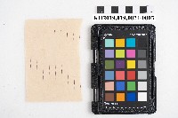 送附書複寫簿藏品圖，第6張