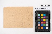 送附書、仕切書複寫簿藏品圖，第23張