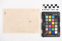 交易品明細書藏品圖，第2張