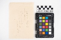 交易品明細書藏品圖，第3張