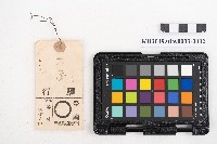 大正三年七月 蕃產品販賣簿 蕃產物交換業 洪見濤藏品圖，第4張