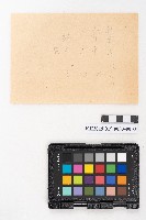 大正三年七月 蕃產品販賣簿 蕃產物交換業 洪見濤藏品圖，第5張