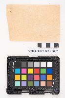 簿本藏品圖，第14張