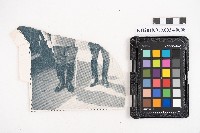 簿本藏品圖，第15張