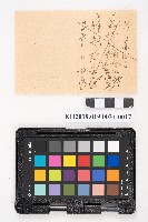 簿本藏品圖，第33張