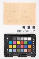 簿本藏品圖，第34張