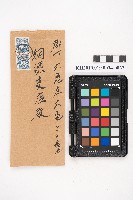 簿本藏品圖，第43張