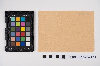 簿本藏品圖，第50張