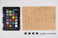 簿本藏品圖，第61張