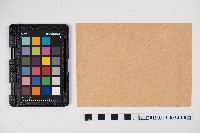 簿本藏品圖，第62張